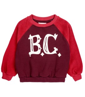 B.C Vintage Raglan Sleeve Sweatshirt 