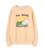 BEAR KIDS SWEATSHIRT Beige Sheep