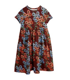 Daisies s/sleeve Dress