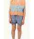 Stripes Multicolor Denim Shorts